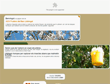 Tablet Screenshot of fruitsdelbaix.cat